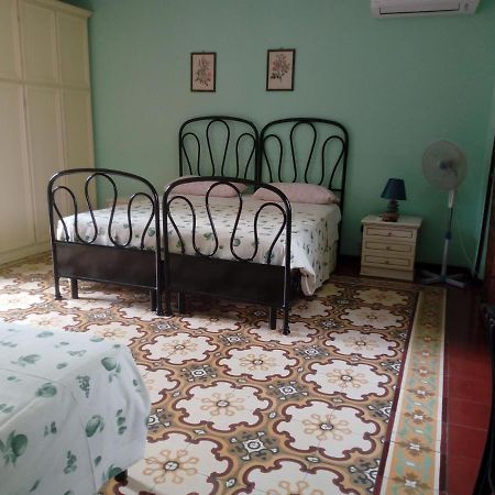 San Giovanni Incarico Il Cactus Bed & Breakfast エクステリア 写真