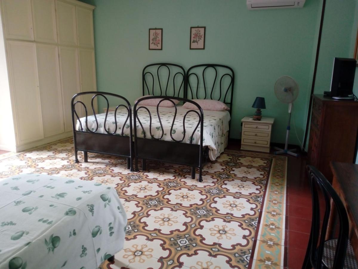 San Giovanni Incarico Il Cactus Bed & Breakfast エクステリア 写真